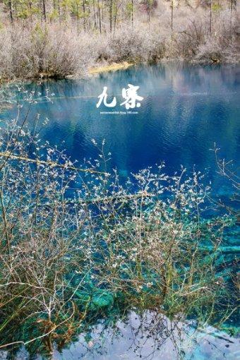 中国银行焦作分行与焦作市工商联签署全面战略合作协议